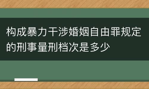 构成暴力干涉婚姻自由罪规定的刑事量刑档次是多少