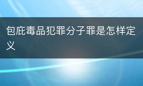 包庇毒品犯罪分子罪是怎样定义
