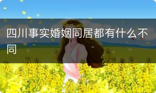 四川事实婚姻同居都有什么不同