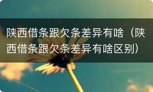 陕西借条跟欠条差异有啥（陕西借条跟欠条差异有啥区别）