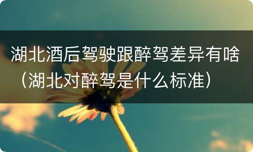 湖北酒后驾驶跟醉驾差异有啥（湖北对醉驾是什么标准）