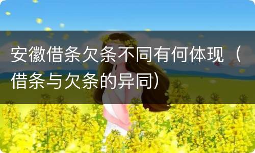 安徽借条欠条不同有何体现（借条与欠条的异同）
