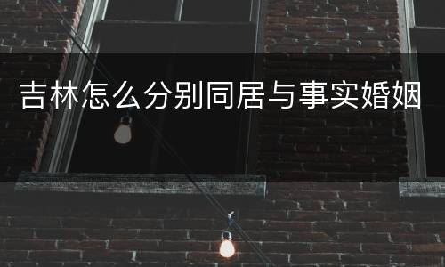 吉林怎么分别同居与事实婚姻