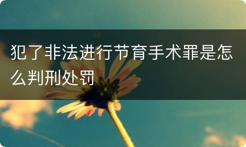 犯了非法进行节育手术罪是怎么判刑处罚