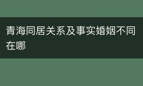 青海同居关系及事实婚姻不同在哪