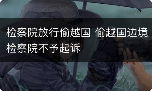 检察院放行偷越国 偷越国边境检察院不予起诉