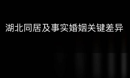 湖北同居及事实婚姻关键差异