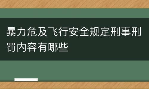 暴力危及飞行安全规定刑事刑罚内容有哪些