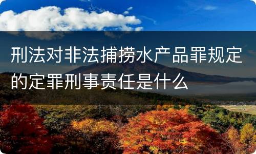 刑法对非法捕捞水产品罪规定的定罪刑事责任是什么
