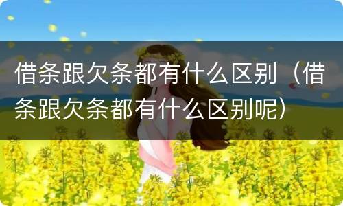 借条跟欠条都有什么区别（借条跟欠条都有什么区别呢）