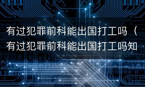 有过犯罪前科能出国打工吗（有过犯罪前科能出国打工吗知乎）