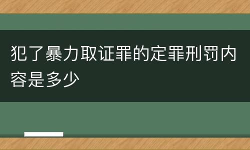 犯了暴力取证罪的定罪刑罚内容是多少