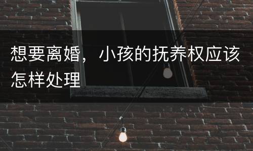 想要离婚，小孩的抚养权应该怎样处理