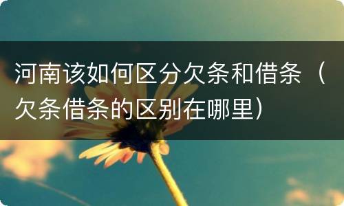 河南该如何区分欠条和借条（欠条借条的区别在哪里）