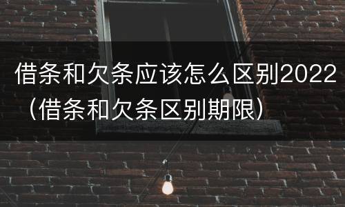 借条和欠条应该怎么区别2022（借条和欠条区别期限）