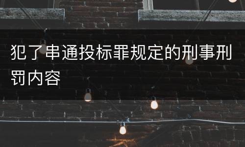 犯了串通投标罪规定的刑事刑罚内容