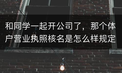 和同学一起开公司了，那个体户营业执照核名是怎么样规定的