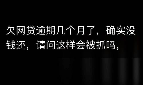 欠网贷逾期几个月了，确实没钱还，请问这样会被抓吗，