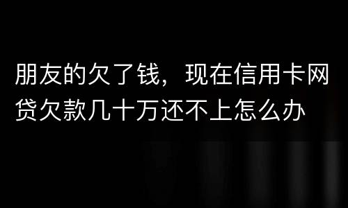 朋友的欠了钱，现在信用卡网贷欠款几十万还不上怎么办