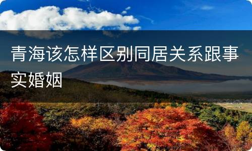青海该怎样区别同居关系跟事实婚姻