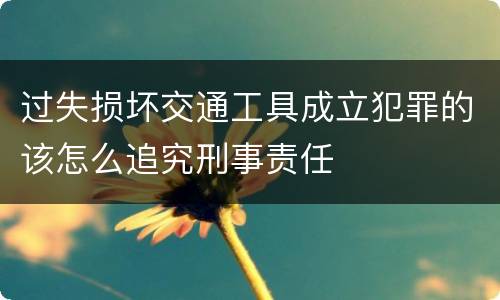 过失损坏交通工具成立犯罪的该怎么追究刑事责任