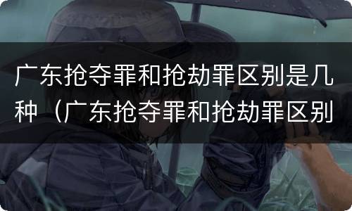广东抢夺罪和抢劫罪区别是几种（广东抢夺罪和抢劫罪区别是几种情况）