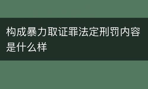 构成暴力取证罪法定刑罚内容是什么样