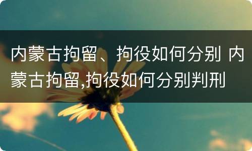 内蒙古拘留、拘役如何分别 内蒙古拘留,拘役如何分别判刑