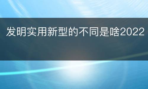 发明实用新型的不同是啥2022