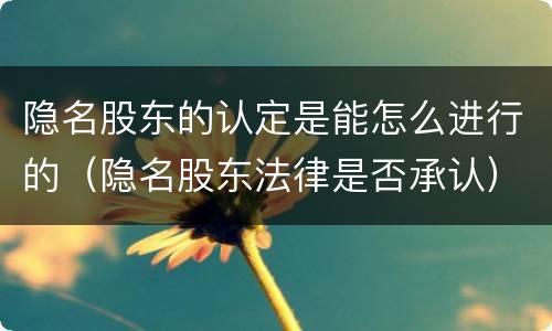 隐名股东的认定是能怎么进行的（隐名股东法律是否承认）