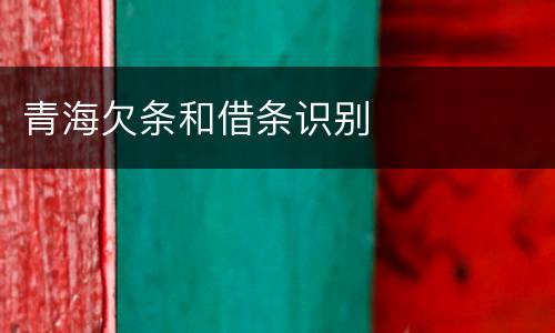 青海欠条和借条识别
