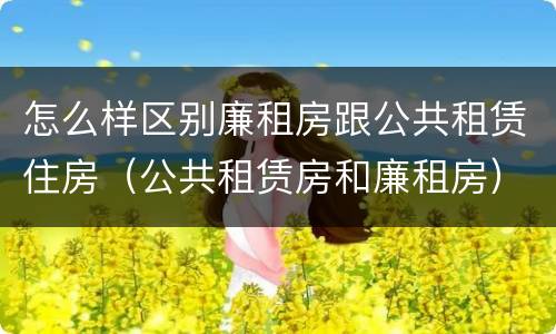 怎么样区别廉租房跟公共租赁住房（公共租赁房和廉租房）