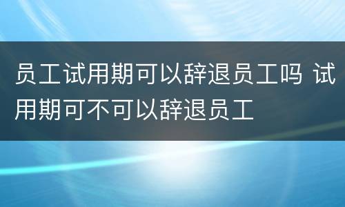 员工试用期可以辞退员工吗 试用期可不可以辞退员工