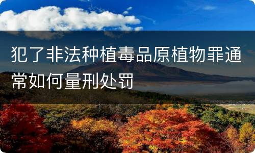 犯了非法种植毒品原植物罪通常如何量刑处罚