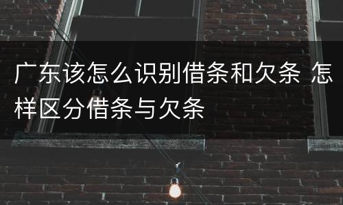 广东该怎么识别借条和欠条 怎样区分借条与欠条