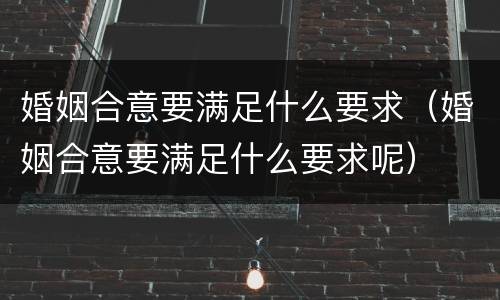 婚姻合意要满足什么要求（婚姻合意要满足什么要求呢）