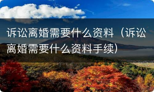 诉讼离婚需要什么资料（诉讼离婚需要什么资料手续）