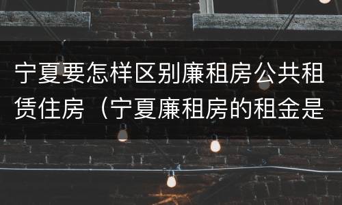 宁夏要怎样区别廉租房公共租赁住房（宁夏廉租房的租金是多少钱）