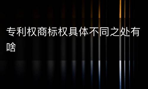 专利权商标权具体不同之处有啥