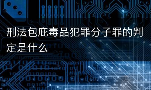 刑法包庇毒品犯罪分子罪的判定是什么