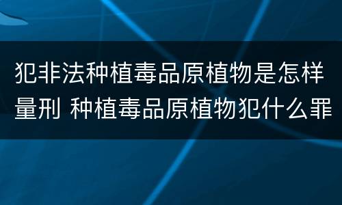 犯非法种植毒品原植物是怎样量刑 种植毒品原植物犯什么罪
