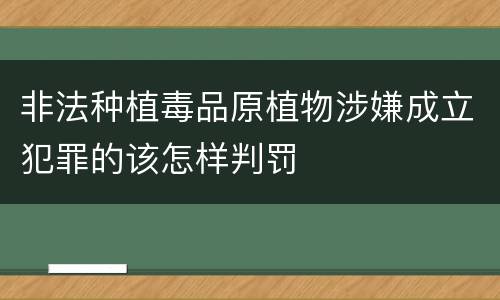 非法种植毒品原植物涉嫌成立犯罪的该怎样判罚