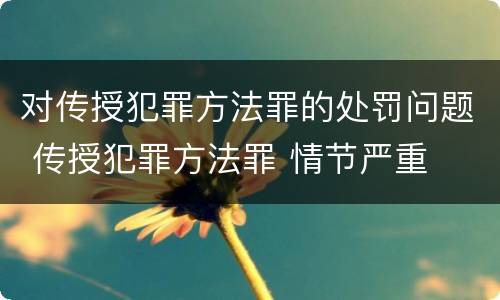 对传授犯罪方法罪的处罚问题 传授犯罪方法罪 情节严重
