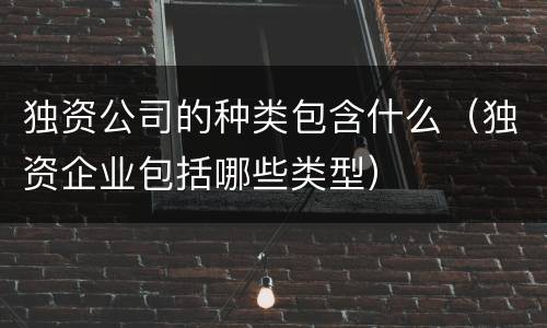独资公司的种类包含什么（独资企业包括哪些类型）