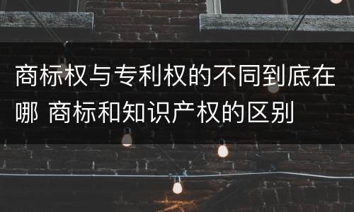 商标权与专利权的不同到底在哪 商标和知识产权的区别