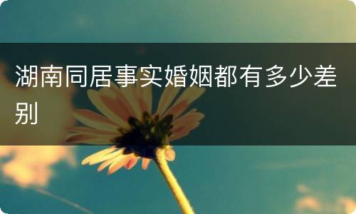 湖南同居事实婚姻都有多少差别