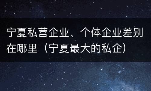 宁夏私营企业、个体企业差别在哪里（宁夏最大的私企）