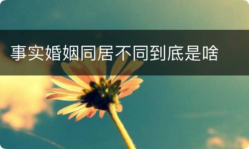 事实婚姻同居不同到底是啥