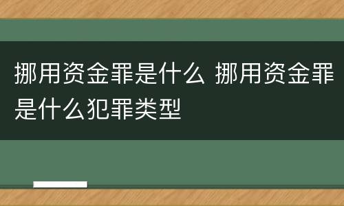 挪用资金罪是什么 挪用资金罪是什么犯罪类型