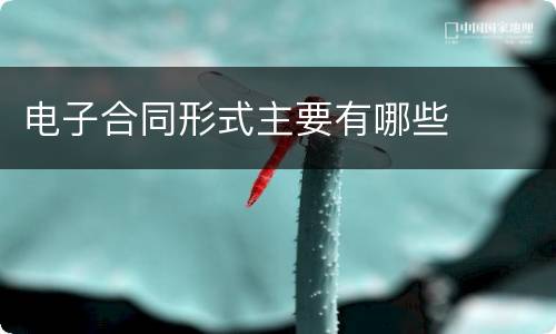 电子合同形式主要有哪些